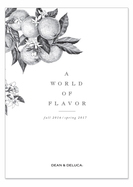 Catalog cover with pencil drawing of a branch with oranges and its flower blossoms